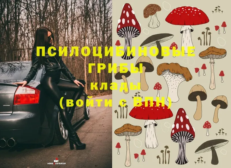 Псилоцибиновые грибы Magic Shrooms  Инсар 